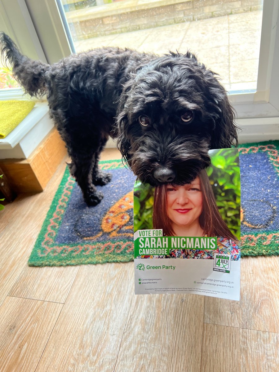 lorelai1323's tweet photo. You have a new canvasser!
@CambridgeGreens @SarahNicmanis https://t.co/h4WrpDQzqC