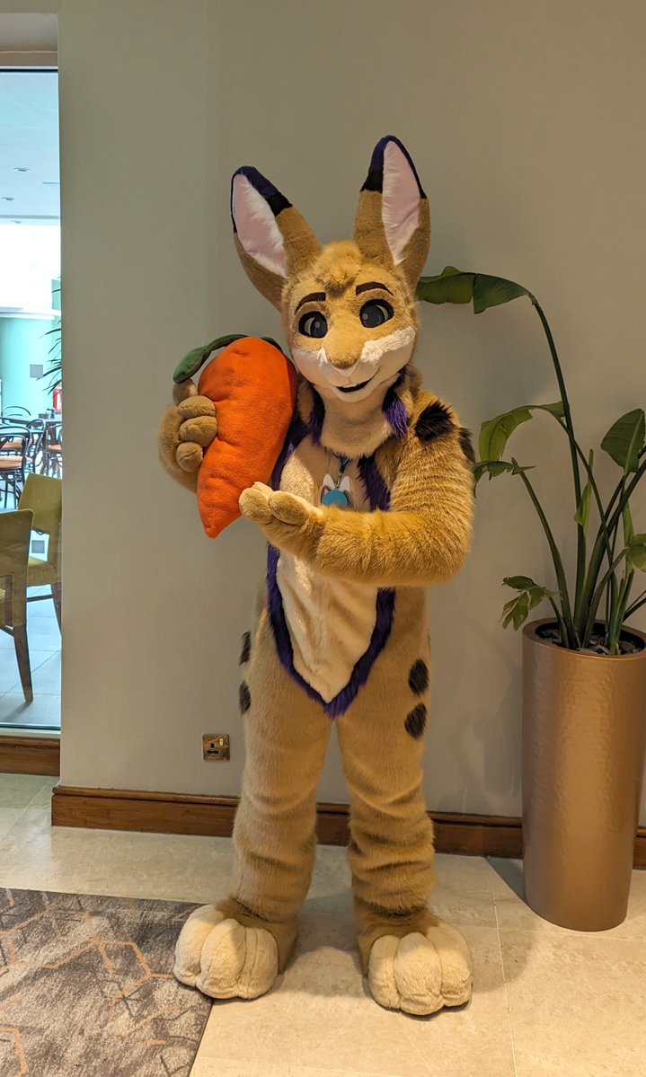 Showing off my haul around Confuzzled 
#FursuitFriday #Furry #furryfandom #Confuzzled