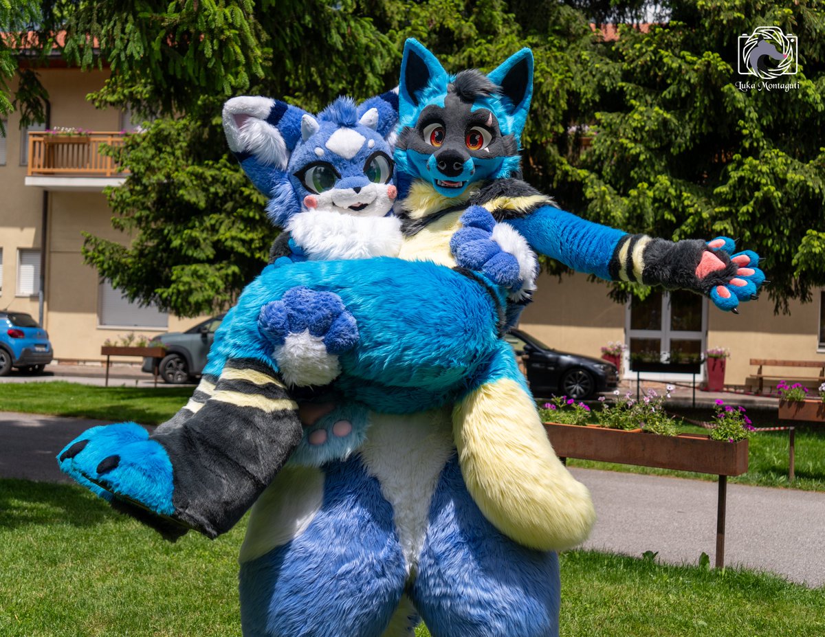 no pokeball? no problem! use arms instead xP

🔵 <a href="/stranckV2/">RedWing Lu 🔜 DEFCON CTF</a> 
📸 <a href="/MontagutiLuca/">MontagutiLuca</a> 

#FursuitFriday #Furry #Pokemon