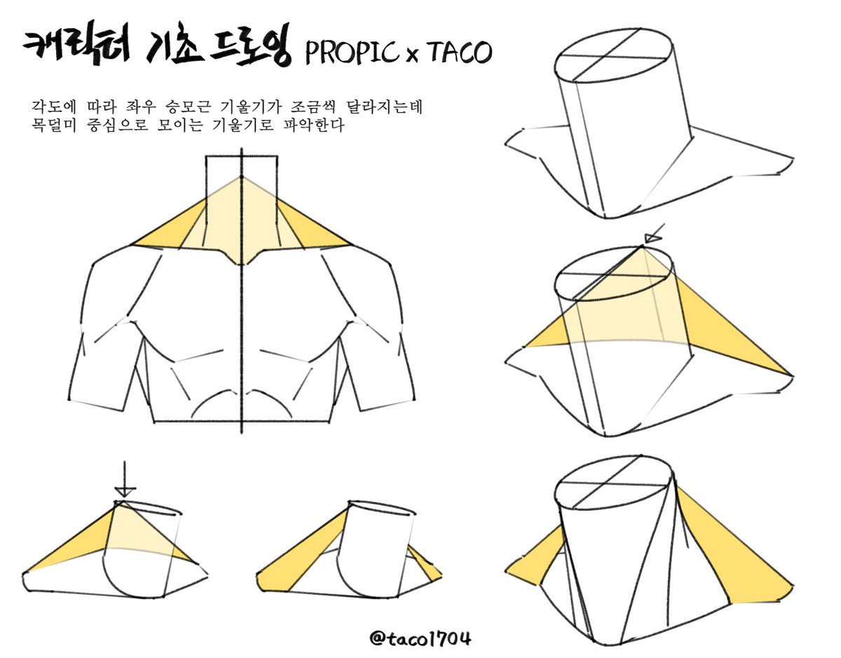 각도에 따라 좌우 승모근 기울기가 조금씩 달라지는데 목덜미 중심으로 모이는 기울기로 파악한다