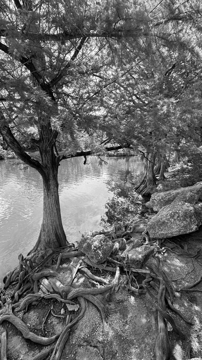 McKinney State Park- Austin TX