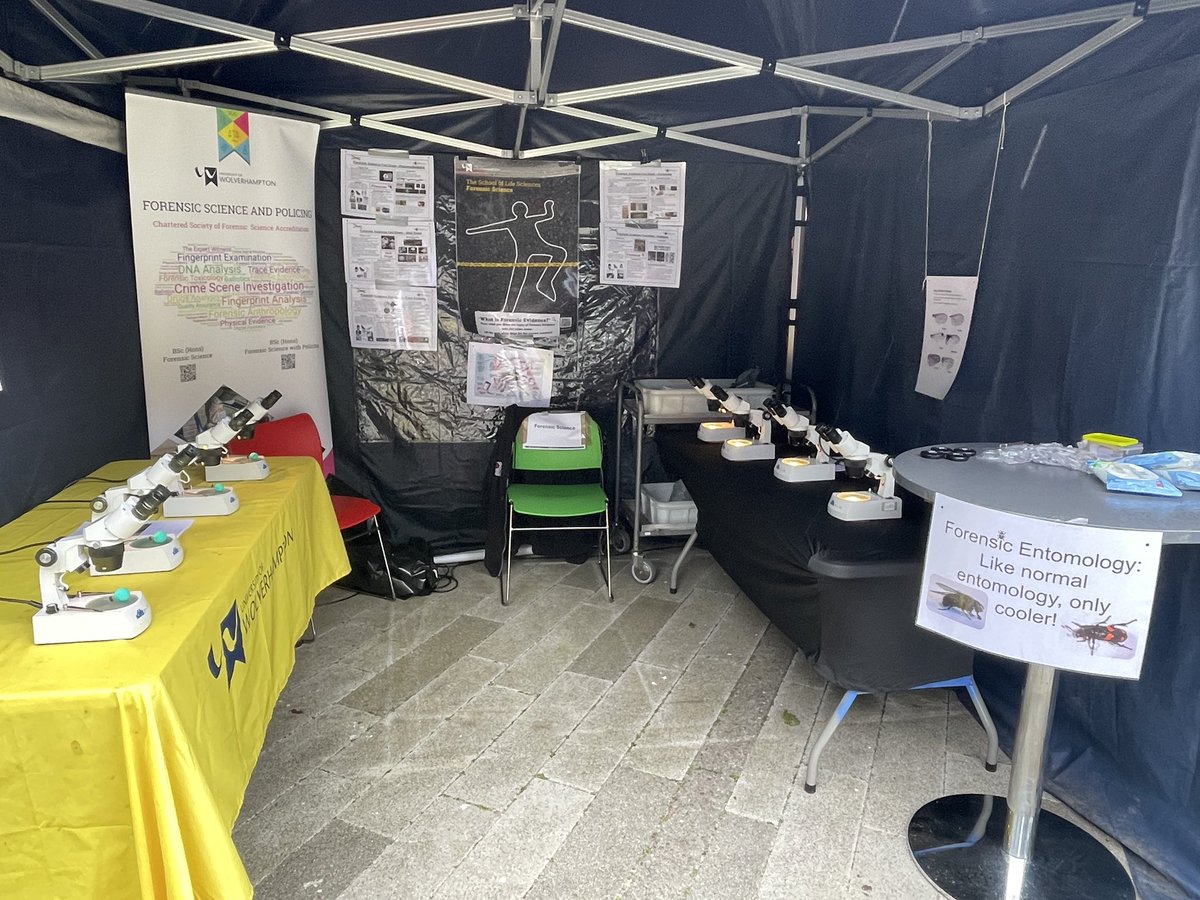 Bringing #entomology to the students of <a href="/WlvSciFest/">SciFest @wlv_uni</a> today. Just in time for <a href="/RoyEntSoc/">Royal Entomological Society</a> #InsectWeek too. #SexDetermination and #WingVeinPatterns.