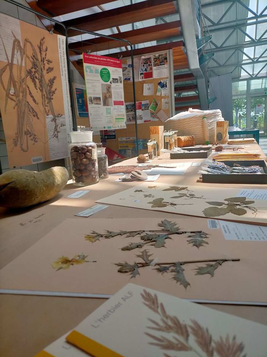 A l’occasion des 40 ans du @CIRAD et des recherches en productions animales organisé par @Umr_selmet, l’équipe de l’herbier a pu exposer une partie de ses collections 🌿🎂