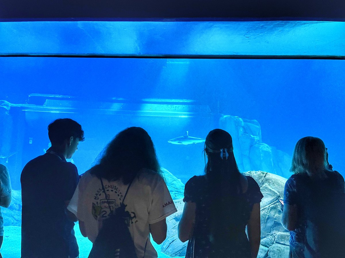 NEHASHOP's tweet photo. Georgia Aquarium and Georgia World Congress Center. https://t.co/ccnZBICcZA