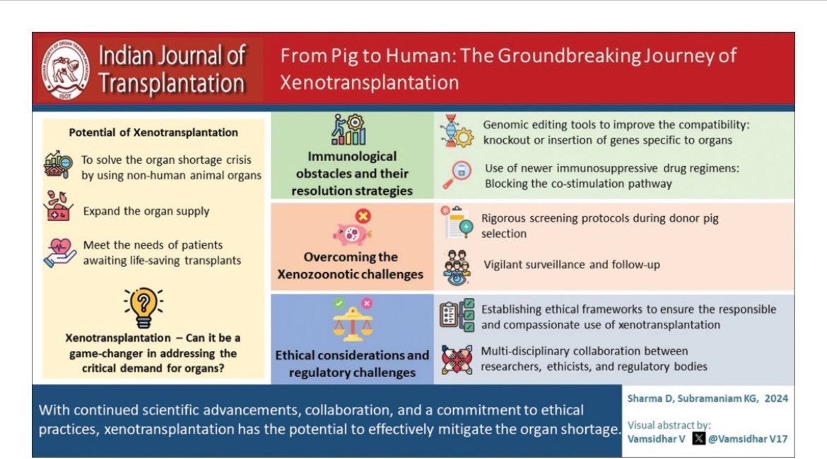 🆕 Publication alert-Xenotransplant

😬Do you know

♥️🫘Till now 2 cardiac and 2 live renal xenotransplantation performed

Pig 🐷 as donor

🧬CRISPR technology used to edit 🐷 genome

🦠Main hurdle-Rejection/ Retrovirus transmission 

👏Thanks to my coauthors <a href="/VamsidharV17/">Vamsidhar Veeranki</a>