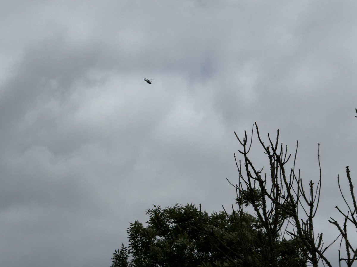 victoriafinlay's tweet image. Just once a year we are directly under a flight path… for #Glastonbury. Almost non stop this morning. I like it: everyone going to make or enjoy #music. I wonder who was/were in that one just now.