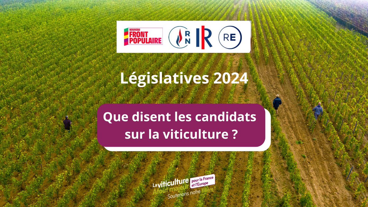Elections législatives 2024 : retrouvez les programmes agricoles et viticoles des candidats sur : vignerons-aoc-igp.fr/propositionsfr… ©️MBaudoinODG_ChassagneMontrachet
#legislative2024 #vins #viticulture