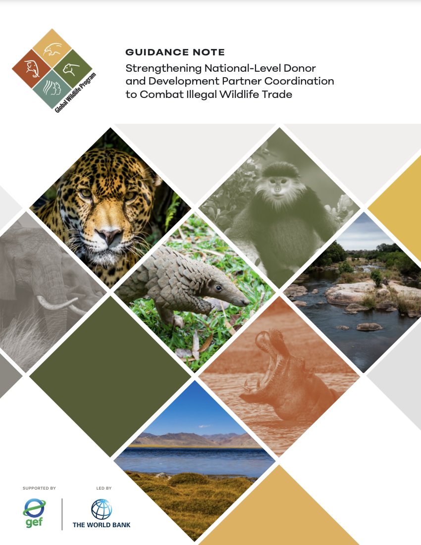ICCWC_ES's tweet photo. Lea la nueva Nota de orientación del Programa Mundial para la Vida Silvestre.

Comparte experiencias sobre el fortalecimiento de la coordinación de donantes y socios de desarrollo para combatir el comercio ilegal de vida silvestre 🐯

📒 https://t.co/QIuqXgiW9L https://t.co/3OgWFtKpHo