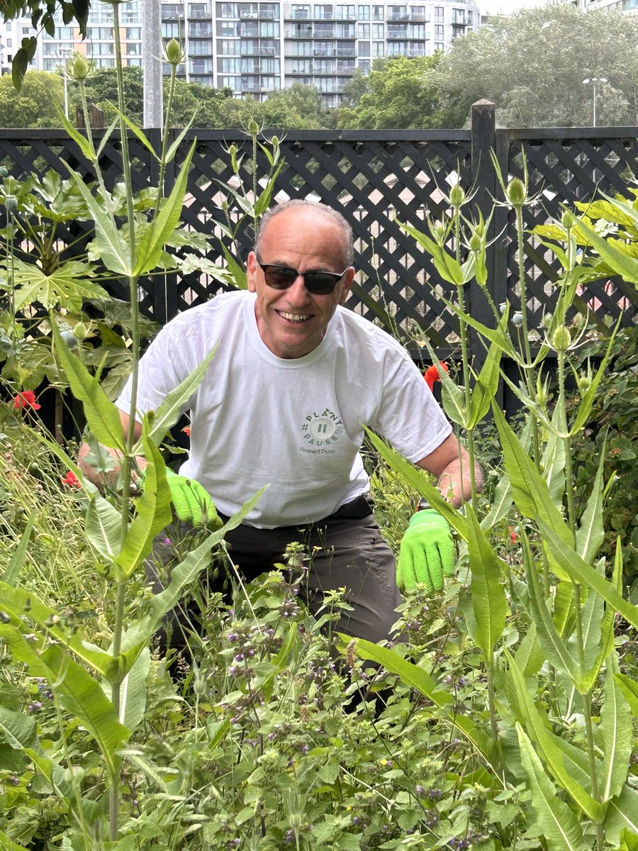 TheoPaphitis's tweet image. Spent a fantastic morning in Battersea Park today with the @RobertDyas team, working with @thrivecharity - a charity all about gardening improving your health, whatever your needs.

Well done to the team and thanks to the Thrive team for having us all.

#plantandpause #gardening…