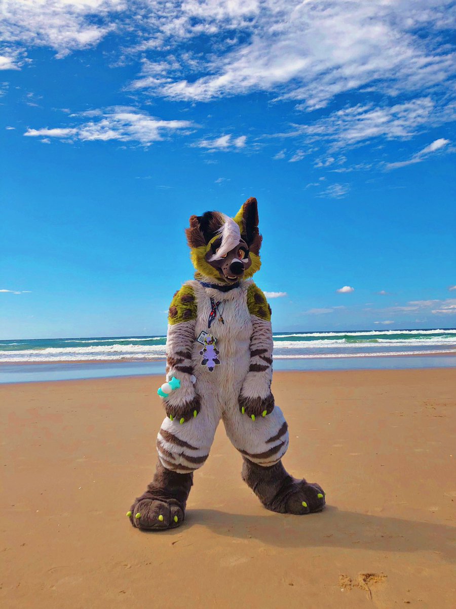happy wimdy #fursuitfriday ☀️