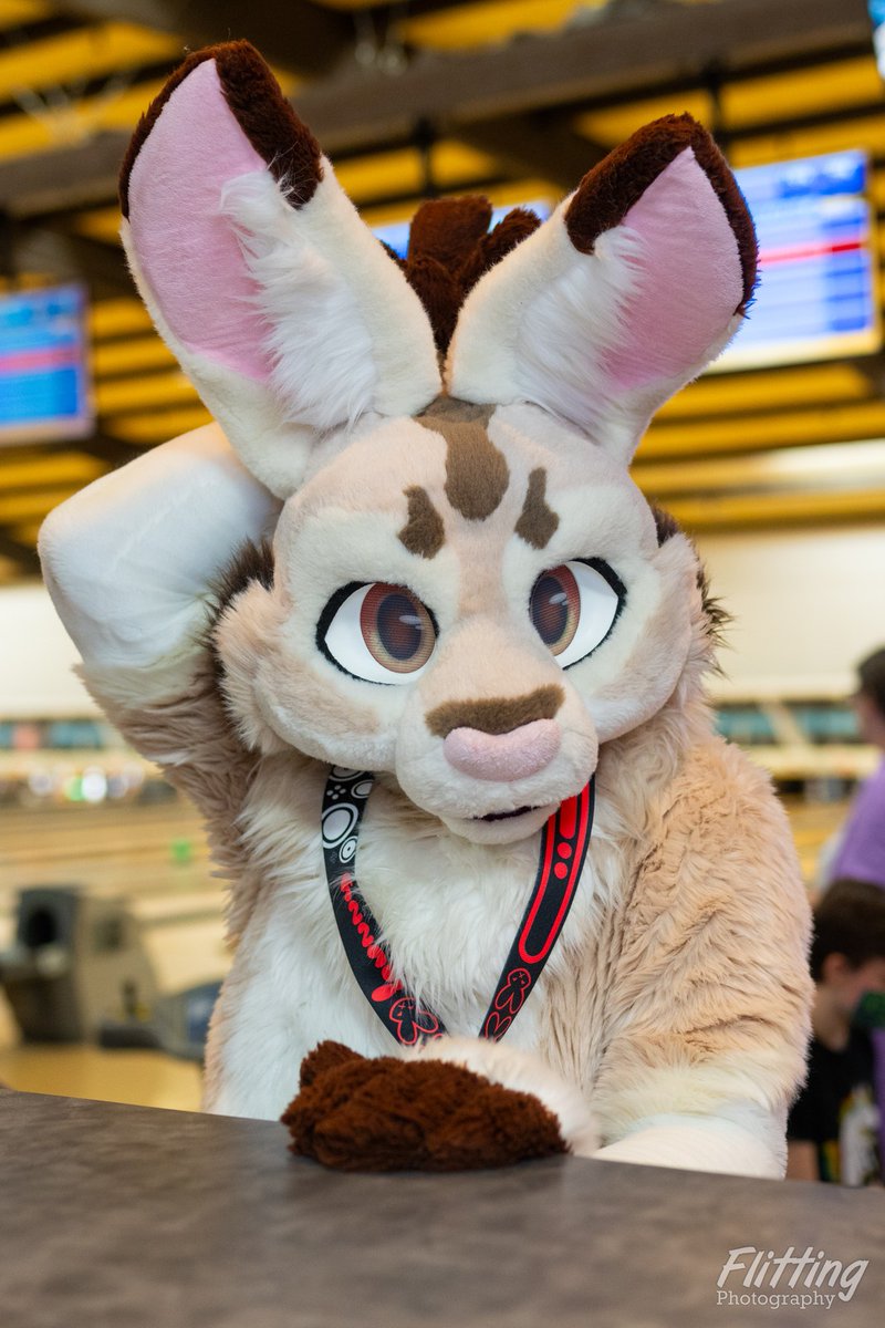 This Friday I remember the fun times to be had at an event put together by <a href="/kijani_lion/">Kijani Lion</a> called When Furballs Strike!

The 50th event is soon upon us on Saturday, August 17th!

Trust me you are going to love it!

Happy #FursuitFriday!

📸 by: <a href="/StAntwelm/">St Antwelm's Assumption</a> 
Fursuit by: <a href="/lemonbrat/">Lemonbrat 🌈🍋💛</a>