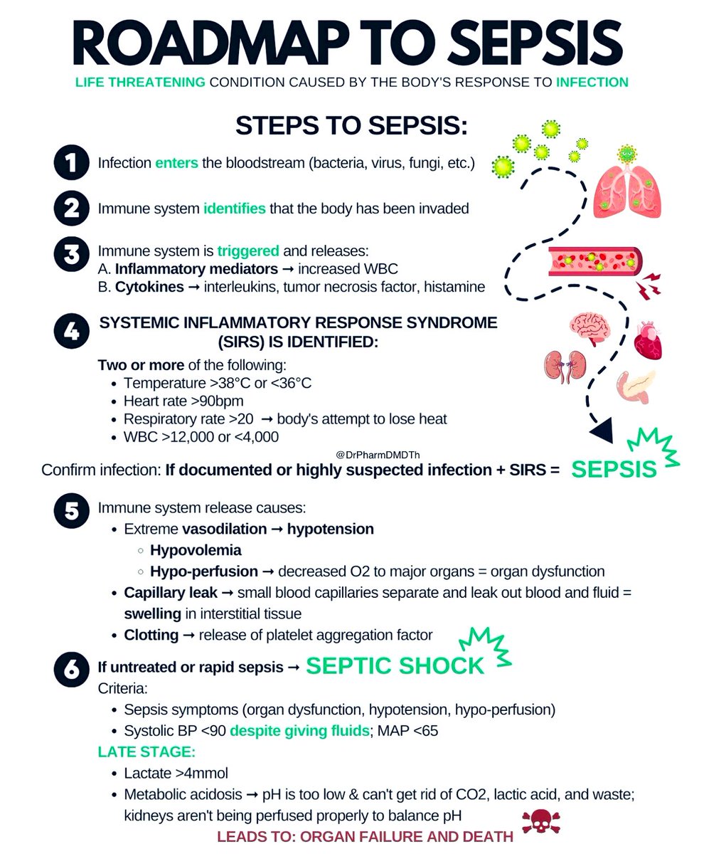 DrPharmDMDTh's tweet photo. ROADMAP TO SEPSIS https://t.co/7rFGpnzWas