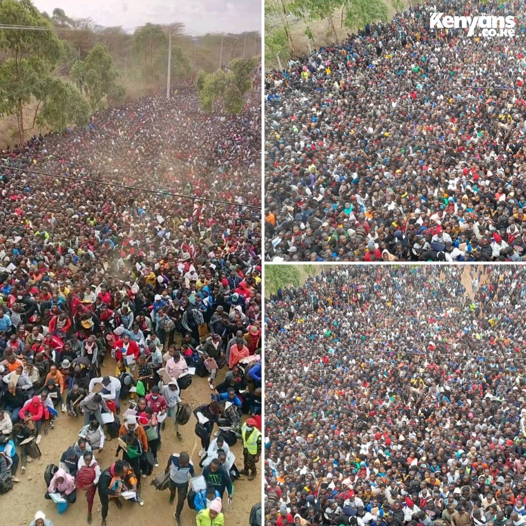 PJ36_'s tweet photo. Y'all remember this photos of NYS graduates who had turned up for only 350 slots advertised for KDF recruitment last year? This are people who have undergone paramilitary training and most are jobless. https://t.co/HAPZW3Ut69