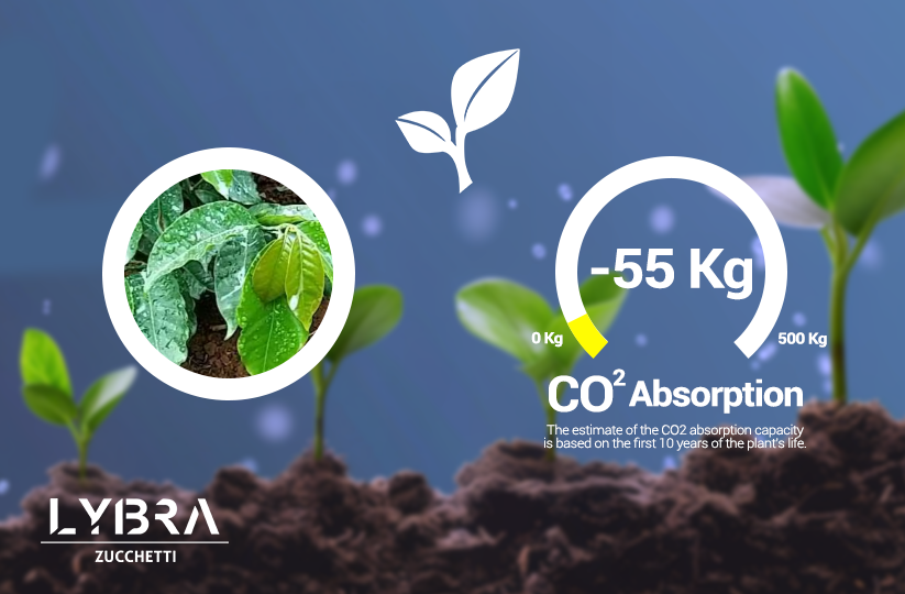 LybraTech's tweet image. We're proud to support sustainability by planting Coffea arabica trees in Kenya with @Treedom. These trees absorb CO₂, aid local communities, and contribute to environmental protection &amp;gt; treedom.net/en/organizatio…
.
#LybraTech #Sustainability #GreenImpact #PlantATree @ZucchettiSpa