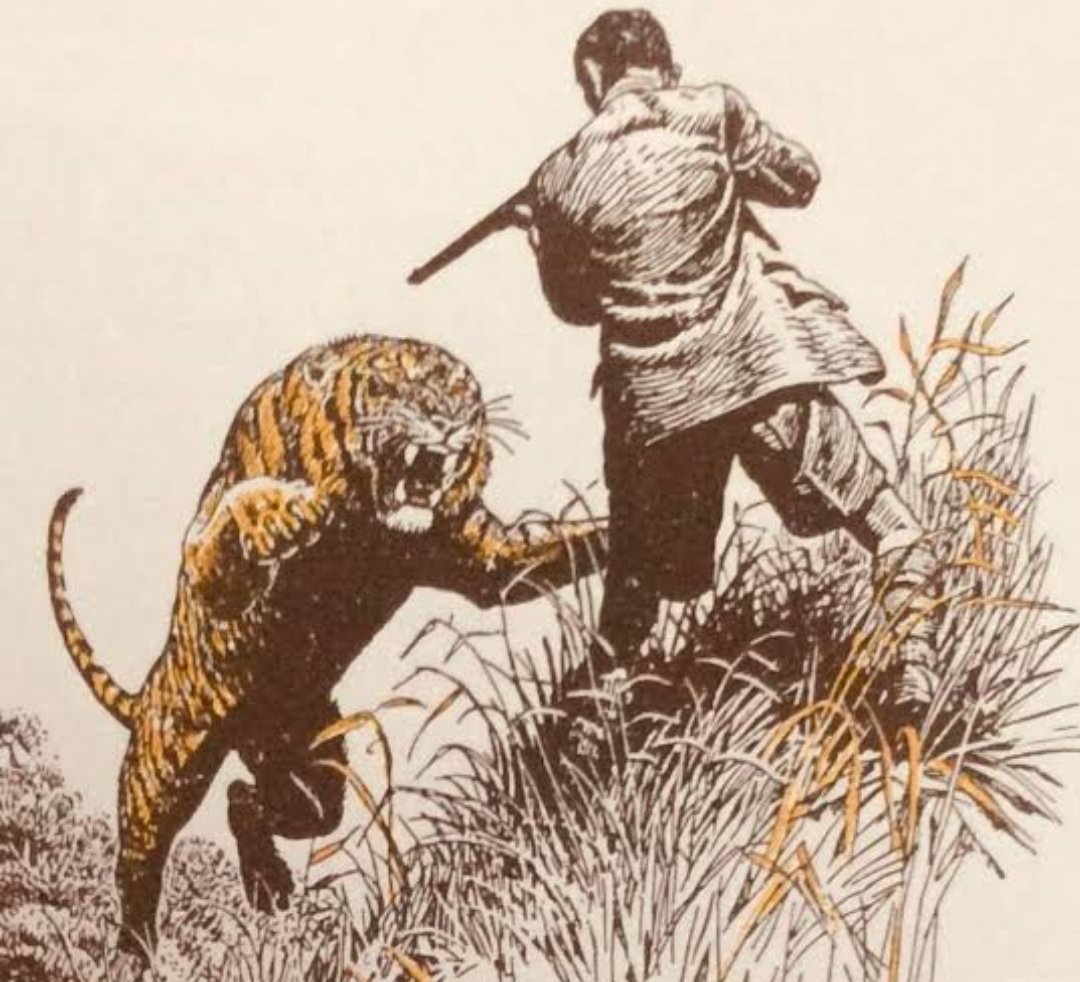 إنَّ إكتشافك لخيانة زوجتك لك، يشبه رحلة صيد النمور.
لديك فرصة واحدة للقضاء عليها، إن لم تستغلها فإنَّ النمور ستجعل منك وجبة دسمة.

السماح للأفكار العبطية كالرحمة في هذه الرحلة لن يجعل النمر يفكر مثلك، بل سيطلق العنان لغرائزه في التفنن في إلتهامك.