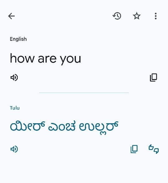 kuntadynithesh's tweet image. Tulu language has been included in Google Translate! This will bring our beautiful language f Karnataka to millions around the world, bridging gaps in translation journey and fostering connections.

A huge thank you to everyone involved in this !
#TuluLanguage #GoogleTranslate