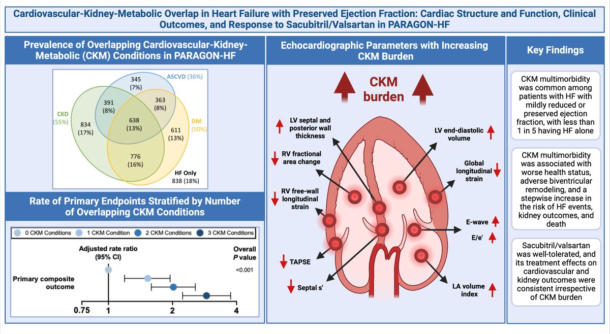 Mats C. Højbjerg Lassen, MD tweet media