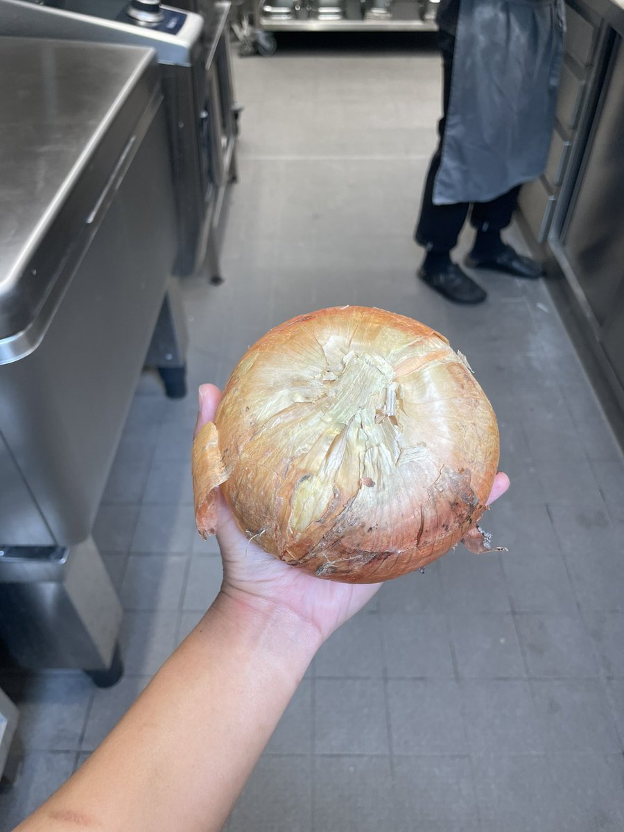 khafilana's tweet photo. onion bigger than my hand

cc @onionweigher https://t.co/0FkknHWYr0