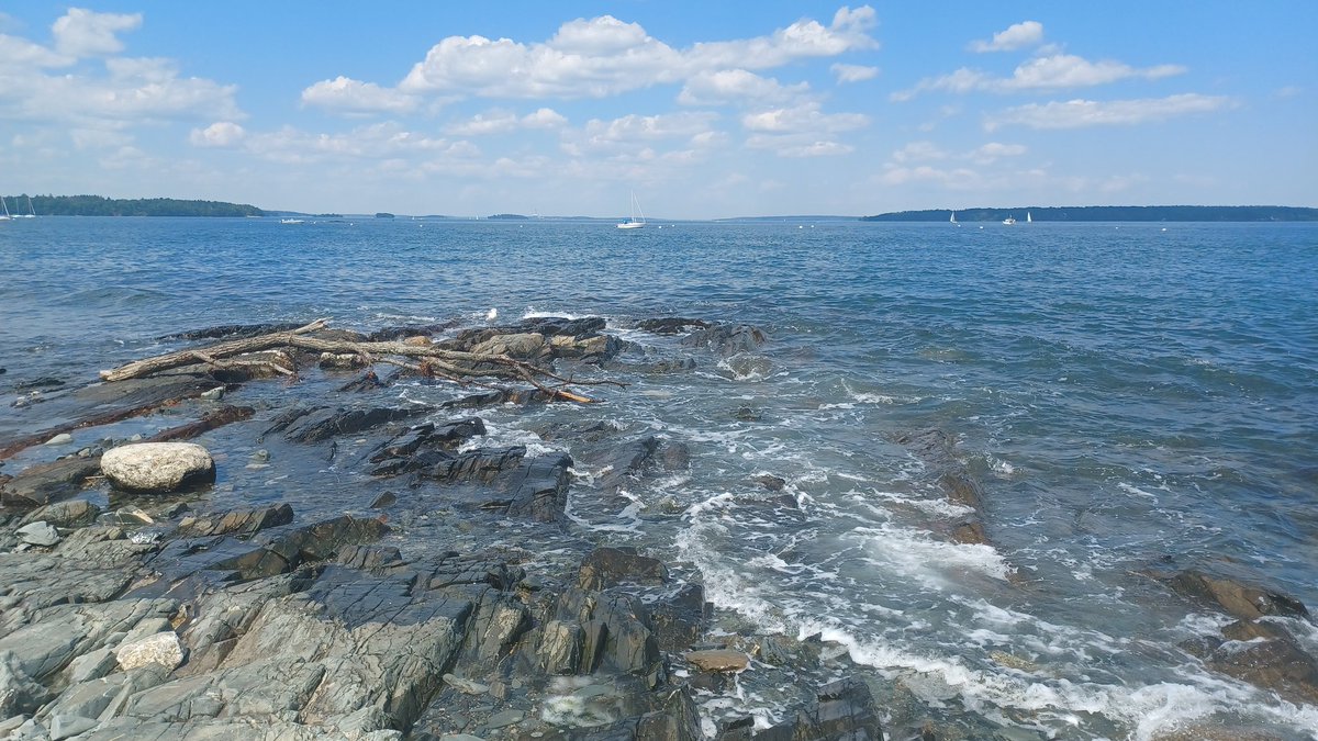 2024 GRC on Bacterial Cell Surfaces is officially in the books! I am very grateful for all the feedback, encouragement, and advice. Happy to have made new friends and for time spent with old ones. Plus Maine is beautiful!