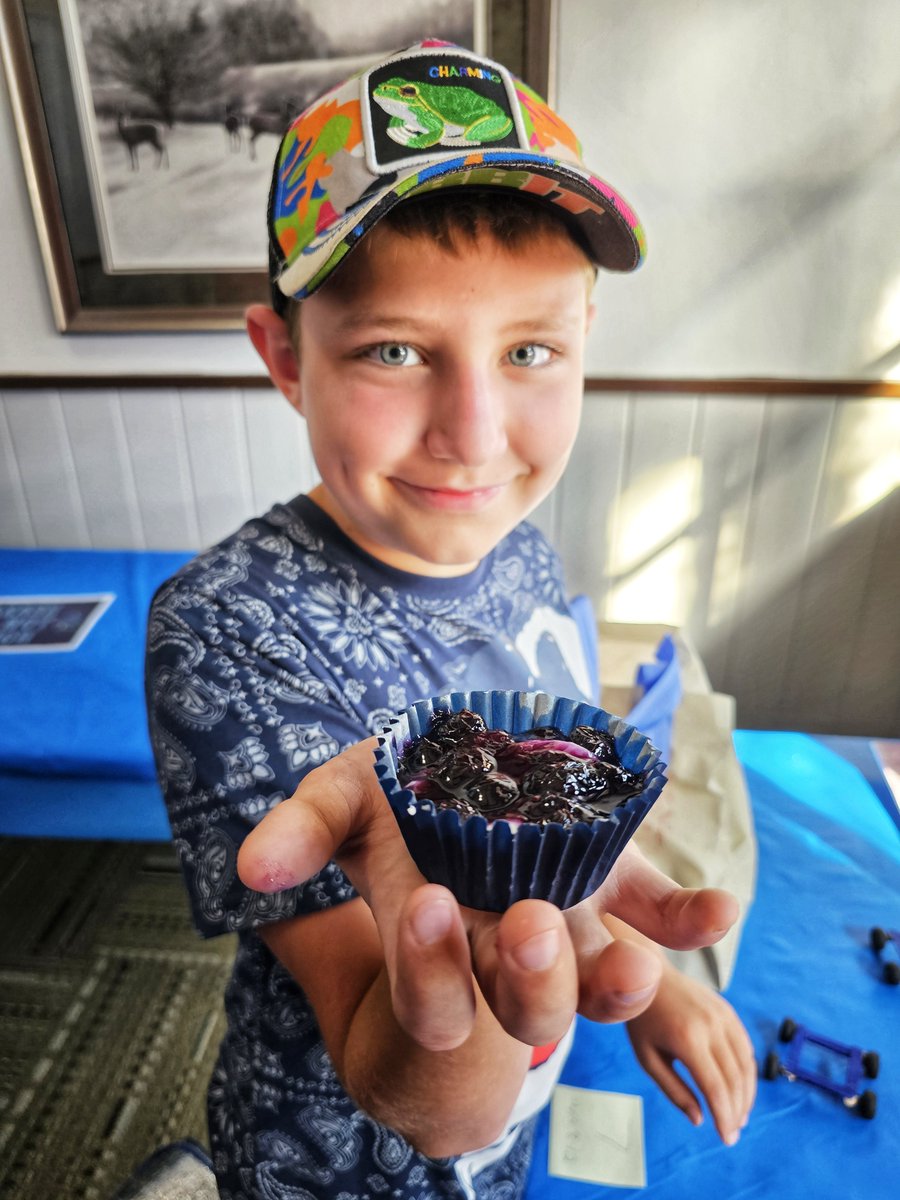 Texas Blueberry Fest tweet media