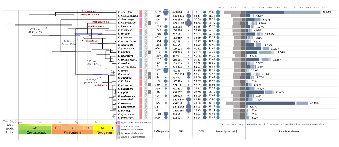 Riccardo Baroncelli tweet media