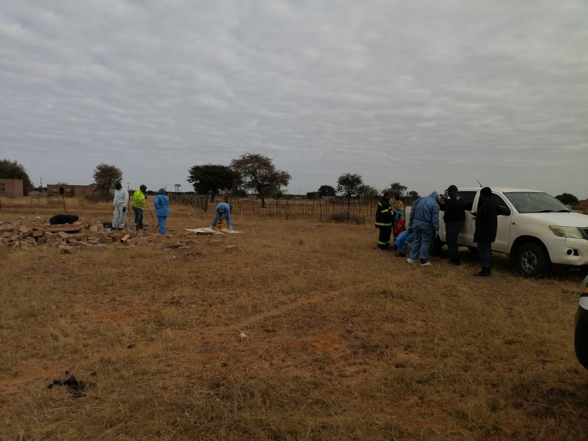 Refiloe Fiffy Seboko tweet media