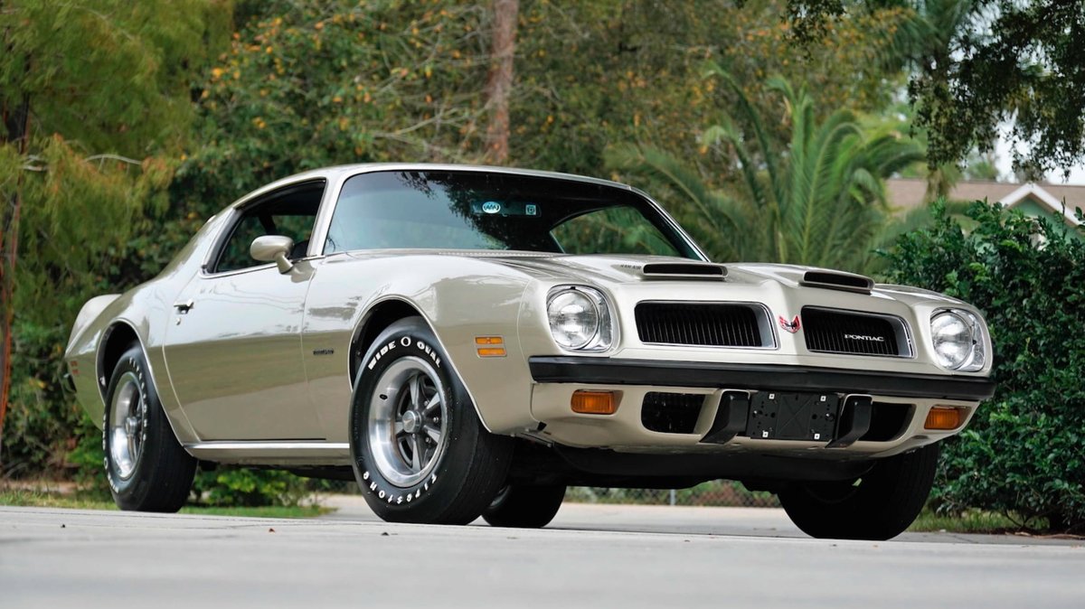 67gta390's tweet image. #FbodyFriday
#FirebirdFriday
#FormulaFriday
1974 Firebird Formula
📸internet