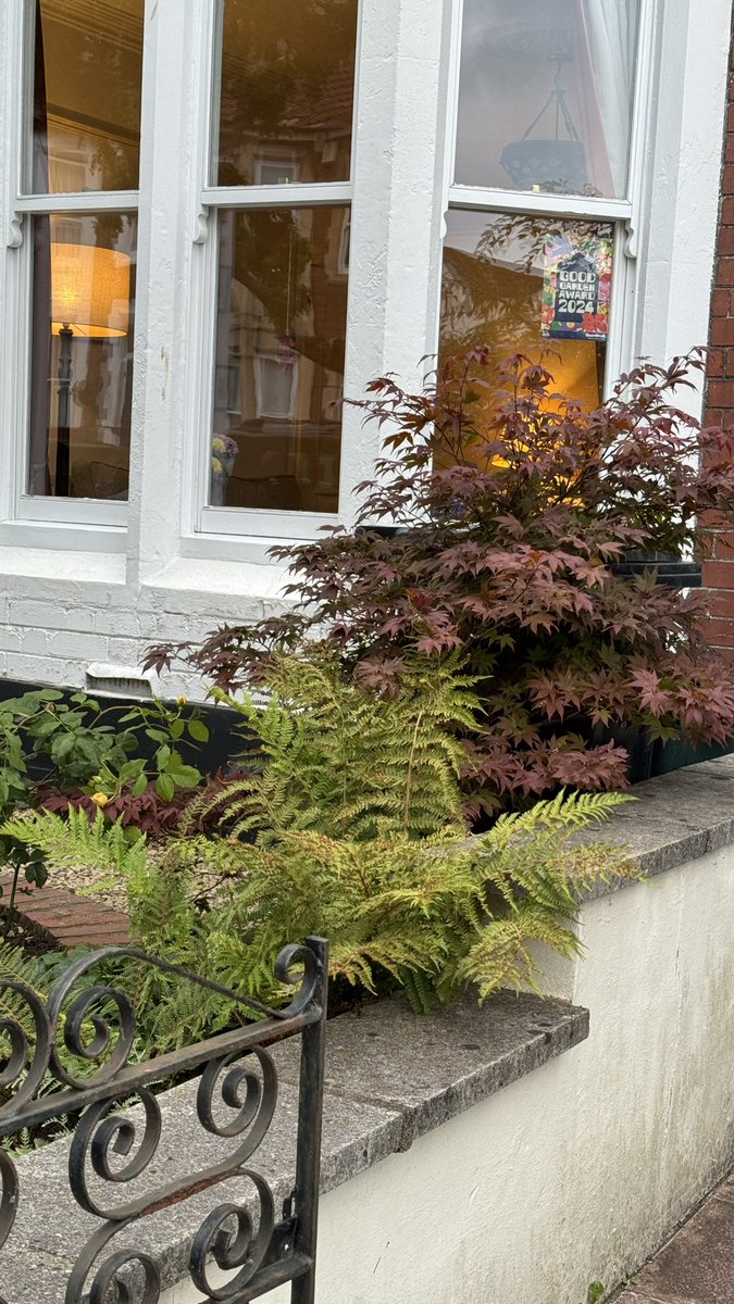 It great seeing so many Good Garden Awards starting to appear in windows. Well done to everyone who's received one so far - don't worry if you haven't yet, still two more weeks of judging to go.