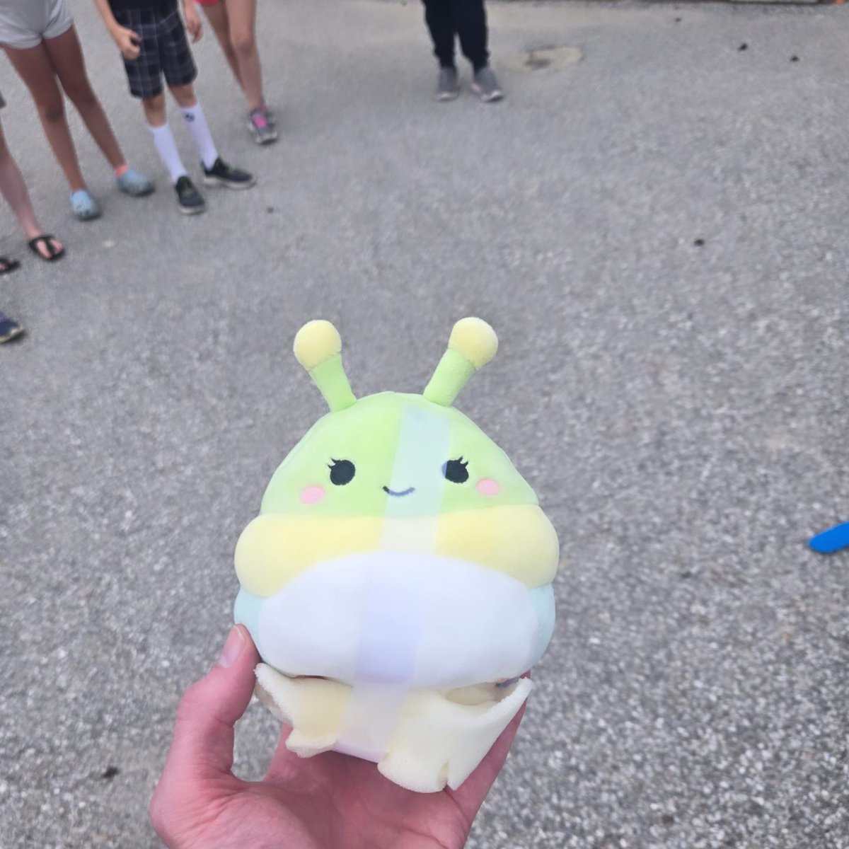 Egg protector time! #science #projects #smashedthemallbutone