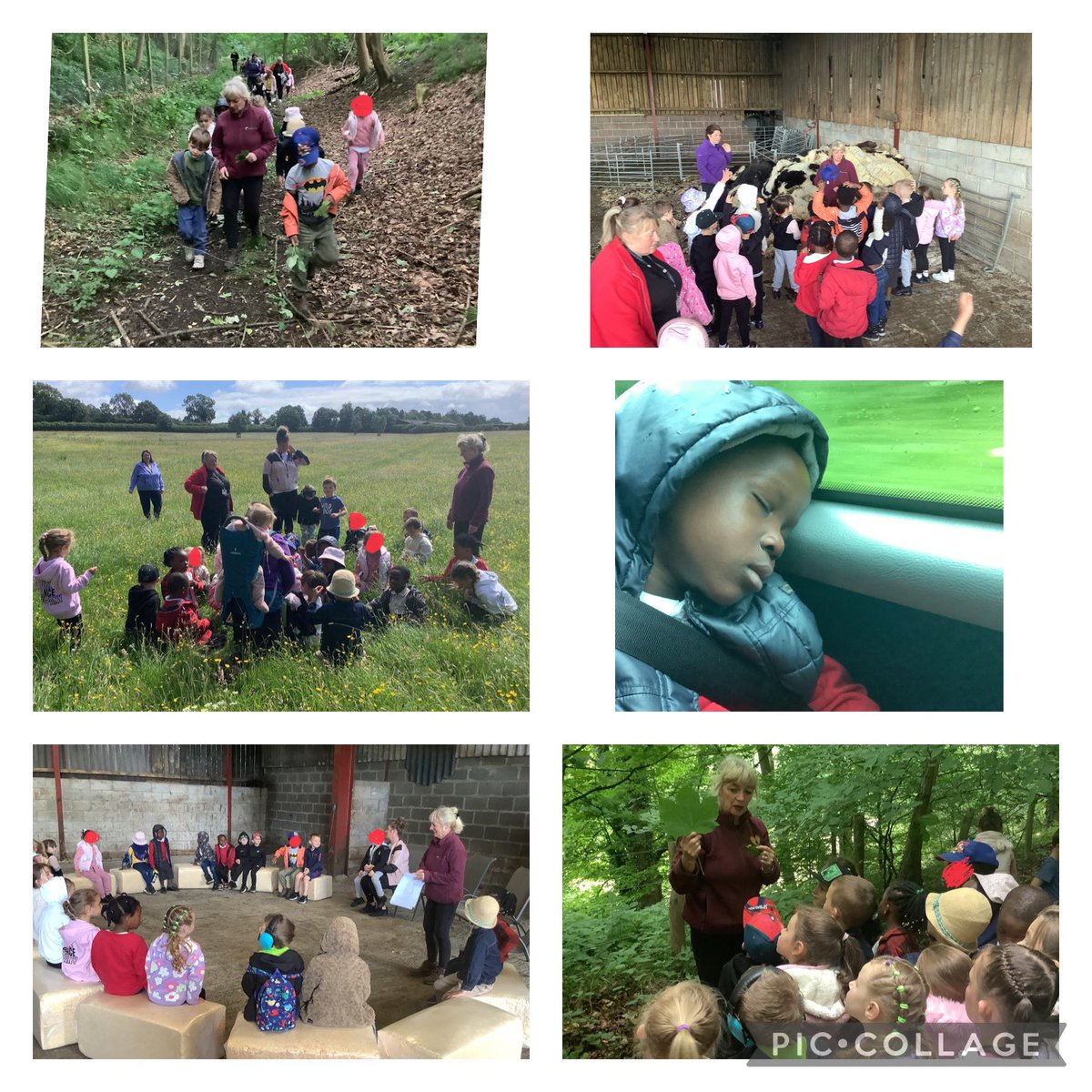 We went on an adventure to a working farm! The children learnt lots and had a great time. It was a bit tiring though! <a href="/FallaParkSchool/">Falla Park Community Primary School</a> <a href="/Miss_Carr_Falla/">Miss Carr</a>