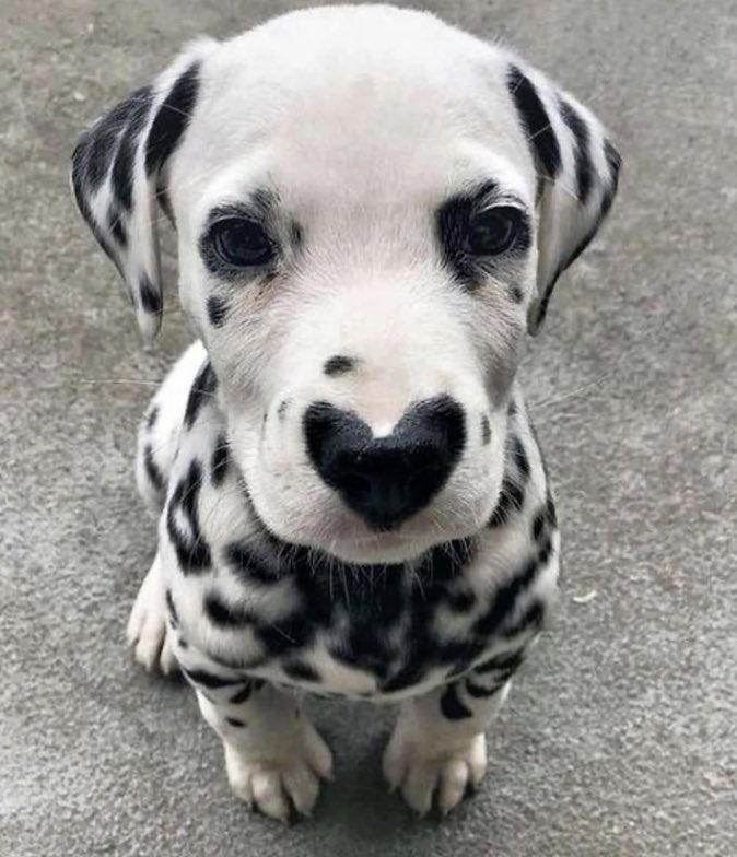 DegenCapitalLLC tweet media