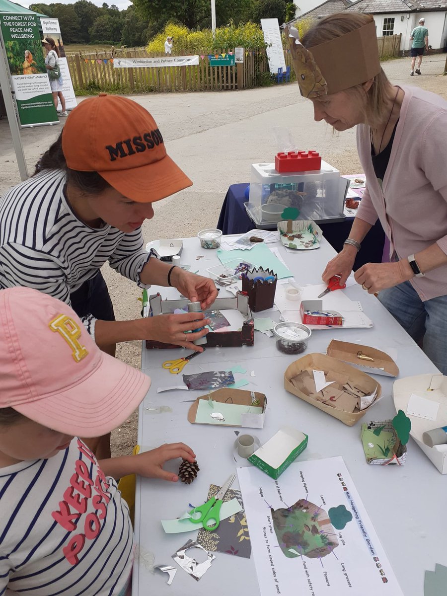 SW15 Hedgehogs tweet media