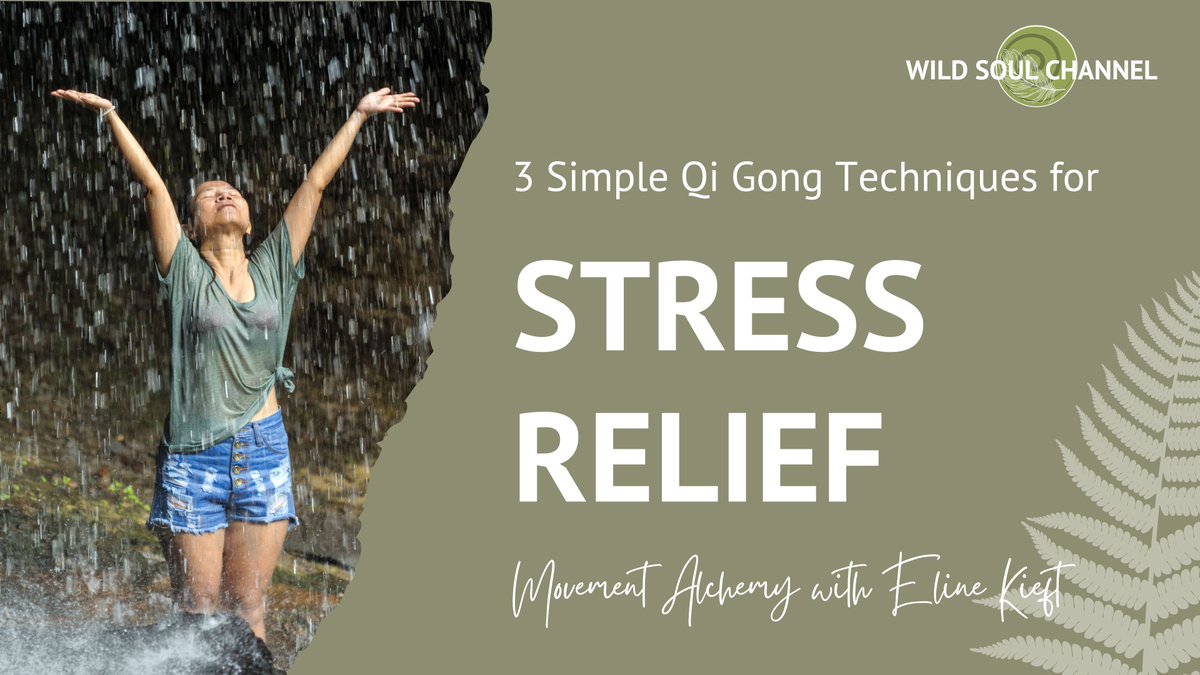 Eline Kieft (@elinekieft) on Twitter photo Feeling stressed? Here are 3 quick Qi Gong techniques to release some tension. A perfect break for busy days! 🌿✨ #StressRelief #QiGong #EnergyHealing #QuickTips
youtu.be/sVH2B-Ks6iU Feeling stressed? Here are 3 quick Qi Gong techniques to release some tension. A perfect break for busy days! 🌿✨ #StressRelief #QiGong #EnergyHealing #QuickTips
youtu.be/sVH2B-Ks6iU