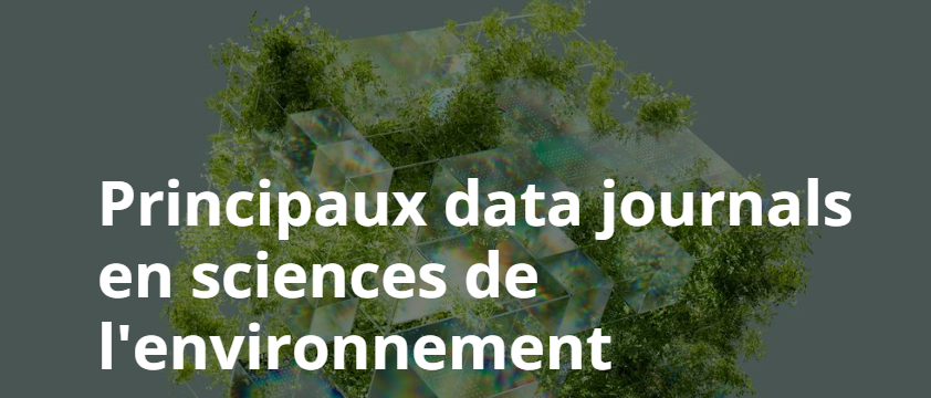 DoRANum_'s tweet photo. 📣Nouvelle ressource DoRANum réalisée par l'équipe @DoRANum_ de @INIST_CNRS : Principaux data journals en sciences de l'environnement ▶️https://t.co/bscyVMAEfD
#DataJournals #SciencesdelEnvironnement https://t.co/ynMHVfuLp0