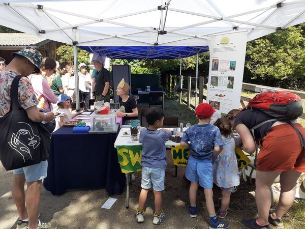 SW15 Hedgehogs tweet media