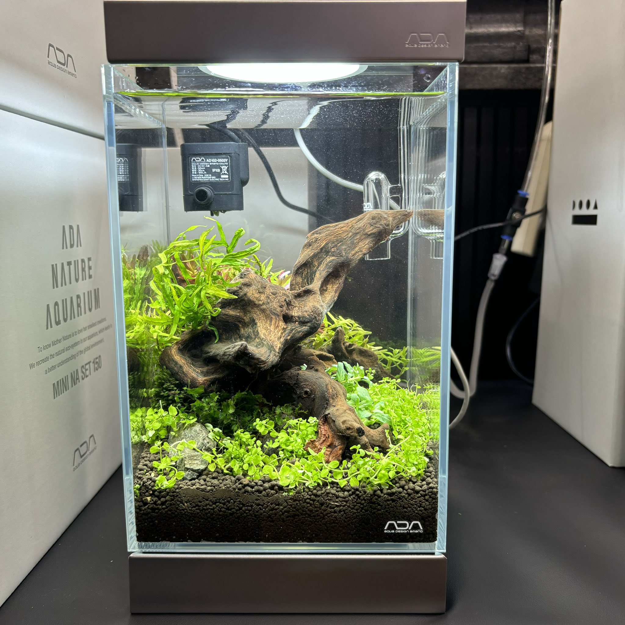 よ*う様 ADA ミニNAセット　150 ADA Mini NA Set 150 (with Cube Garden W150xD150xH220mm / 4mm