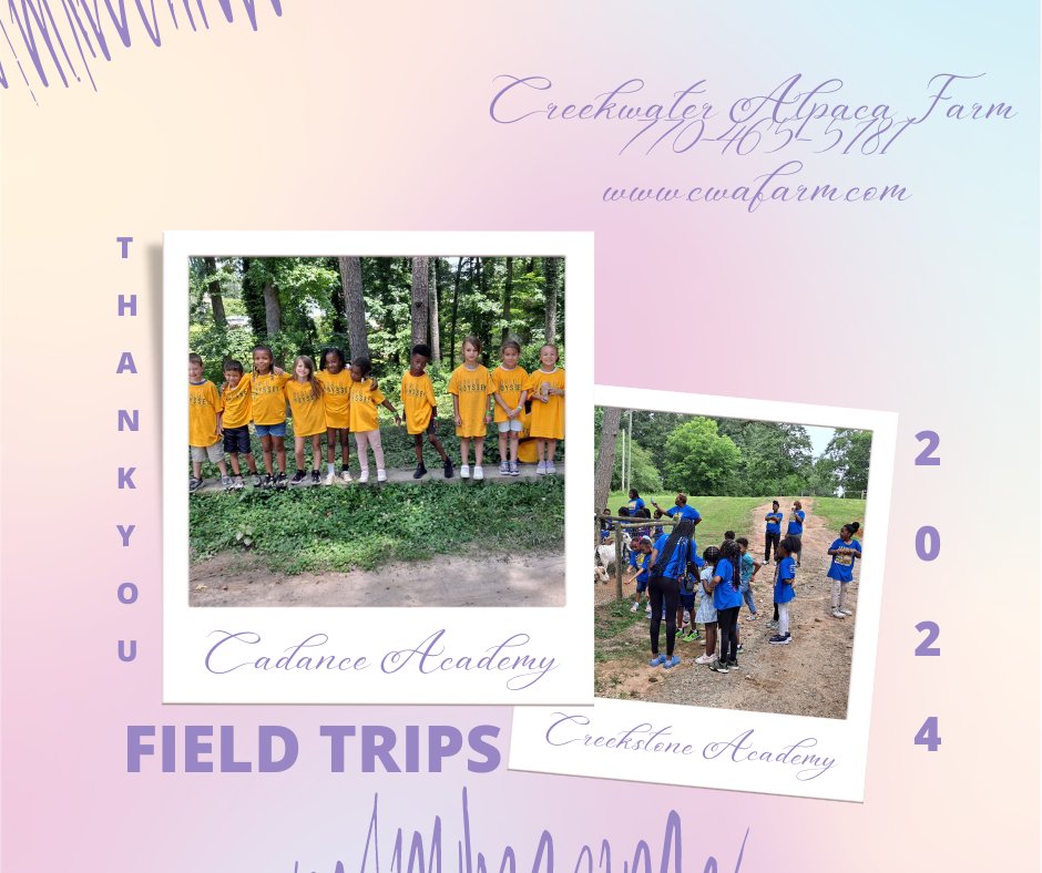 We love our field trips!  Thank you to all of camps and preschools who have booked with us this year! #alpacas #farm #tour #fieldtrip

Weekdays by Appointment
Weekends 11-4

770-465-5181
cwafarm.com