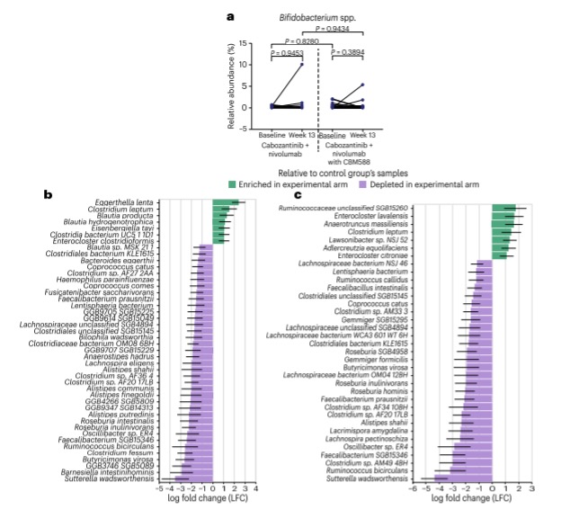Hedyeh Ebrahimi (@ebrahimihedyeh) on Twitter photo Ultimately, we did not see the anticipated changes in Bifidobacterial species. However, we did see some enrichment in Ruminococcaceae species - based on studies by <a href="/_RCSimpson/">Rebecca Simpson</a> @ProfRScolyerMIA <a href="/ProfGLongMIA/">Professor Georgina Long AO (Bluesky @gvlongphdmd)</a> <a href="/JenWargoMD/">Jennifer Wargo MD</a> & others, it's possible that this could aid in facilitating Ultimately, we did not see the anticipated changes in Bifidobacterial species. However, we did see some enrichment in Ruminococcaceae species - based on studies by <a href="/_RCSimpson/">Rebecca Simpson</a> @ProfRScolyerMIA <a href="/ProfGLongMIA/">Professor Georgina Long AO (Bluesky @gvlongphdmd)</a> <a href="/JenWargoMD/">Jennifer Wargo MD</a> & others, it's possible that this could aid in facilitating