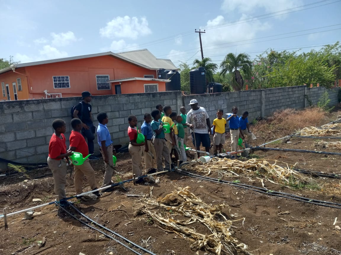 On June 21st 2024, a CSA Activity was held with 4hers from Mt Pleasant Government School in Carriacou at the farm of Mr. Wayne Abraham. The students learned about water conservation and the use of drip irrigation. Fifteen boys participated in the session.