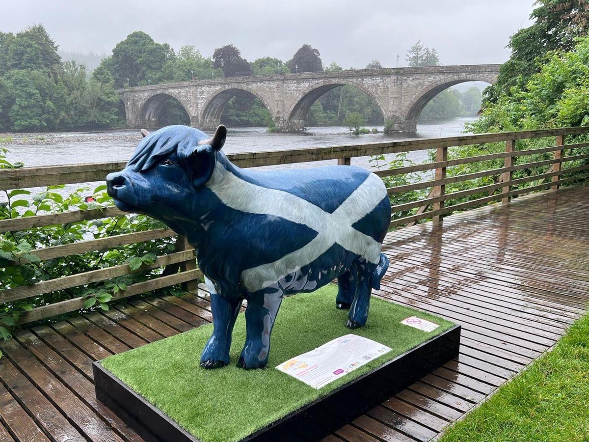 Wild in Art (@wildinart) on Twitter photo Discover a spectacular free art trail of Hairy Highland Coo sculptures in Perth and Kinross, starting today! 🐮🏴
<a href="/supportCHAS/">Children's Hospices Across Scotland</a>
📱 Download the app to find the sculptures: hairyhighlandcootrail.co.uk/app
📅 28 June - 6 September
#wildinart #hairyhighlandcootrail Discover a spectacular free art trail of Hairy Highland Coo sculptures in Perth and Kinross, starting today! 🐮🏴
<a href="/supportCHAS/">Children's Hospices Across Scotland</a>
📱 Download the app to find the sculptures: hairyhighlandcootrail.co.uk/app
📅 28 June - 6 September
#wildinart #hairyhighlandcootrail