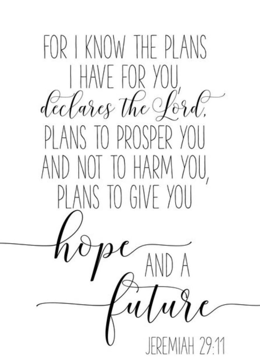 Daniela Palmer tweet media