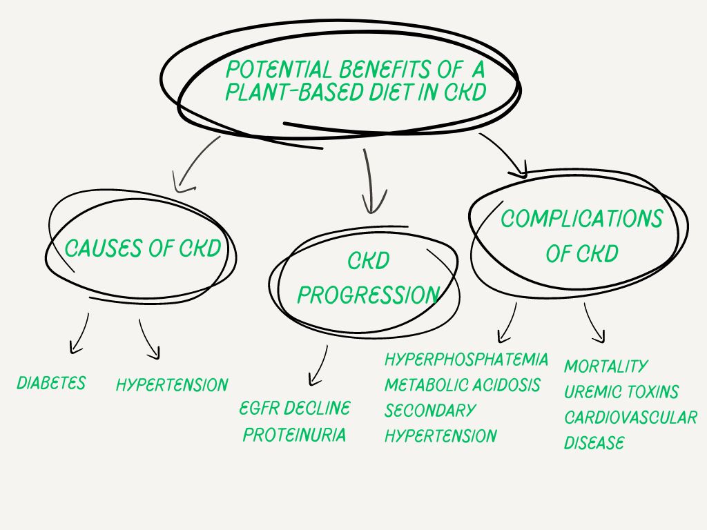 AJKD (@ajkdonline) on Twitter photo NEW Commentary by @sjoshiMD on the #AJKDBlog:
Plants, Kidney Disease and Mortality: Evidence from <a href="/CRICStudy/">CRIC Study</a>
buff.ly/4eGVq4k
Article by <a href="/hyunjukim25/">Hyunju Kim</a> et al: buff.ly/48hYOP8 NEW Commentary by @sjoshiMD on the #AJKDBlog:
Plants, Kidney Disease and Mortality: Evidence from <a href="/CRICStudy/">CRIC Study</a>
buff.ly/4eGVq4k
Article by <a href="/hyunjukim25/">Hyunju Kim</a> et al: buff.ly/48hYOP8