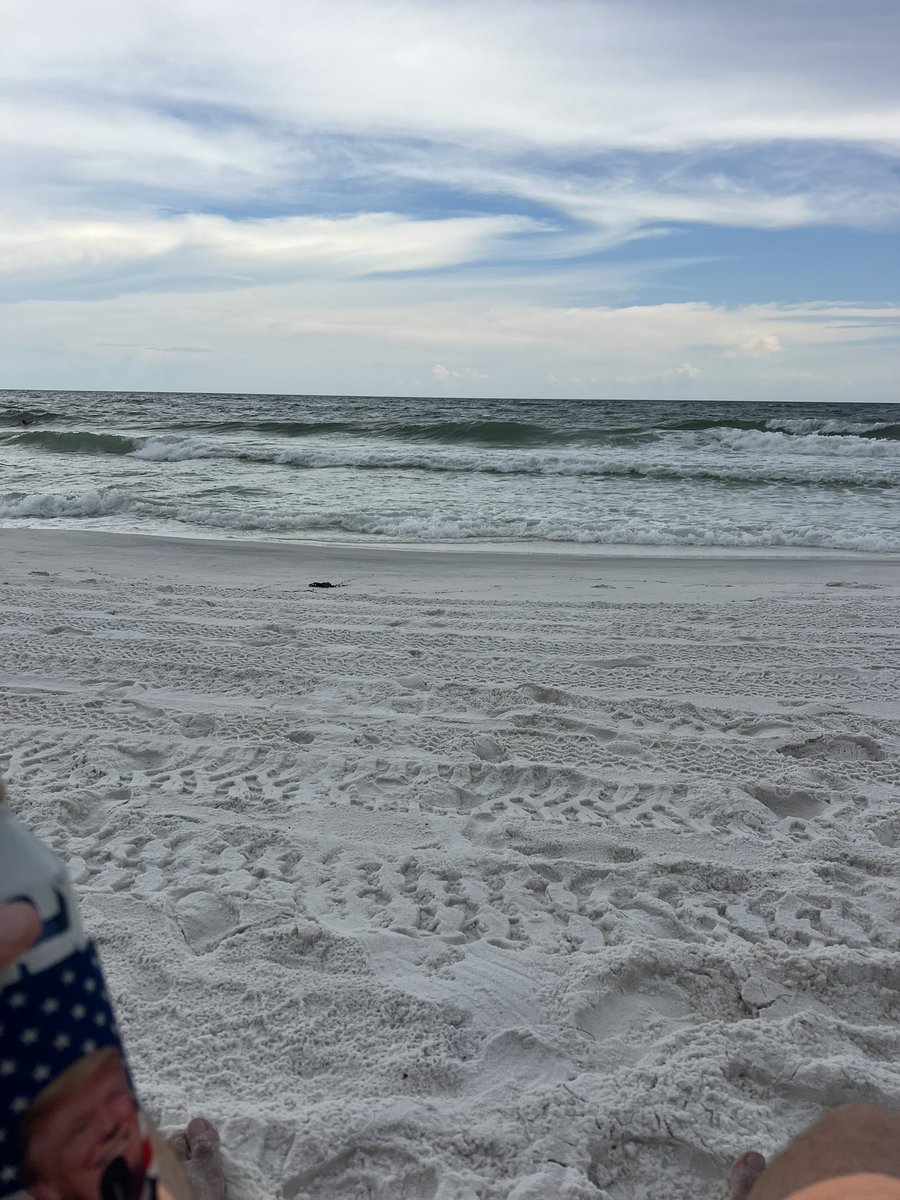 GuyEchols's tweet photo. @BMS_Billy @BMS_Derek @BMS_VoiceGuy Been listening from Florida all week while on vacation with the family, been a great week of shows. Except for @Hey_Nard, you still suck. #BMS4Life https://t.co/KlCIHA3rVs