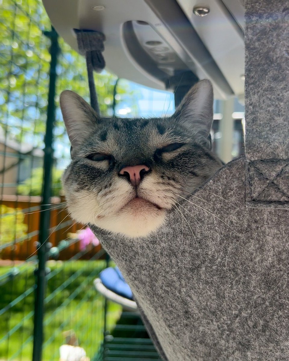 Omlet UK tweet media