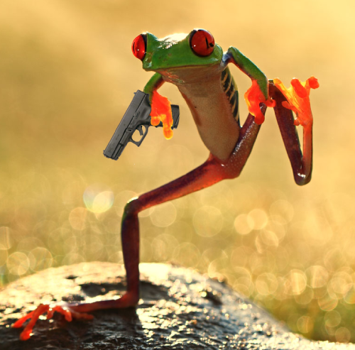 BowietheNifty's tweet image. While there weren't any guesses yesterday. This is the only context of what we are playing today. Enjoy :]

#Vtuber #streamer #birdtuber #FridayFeelings