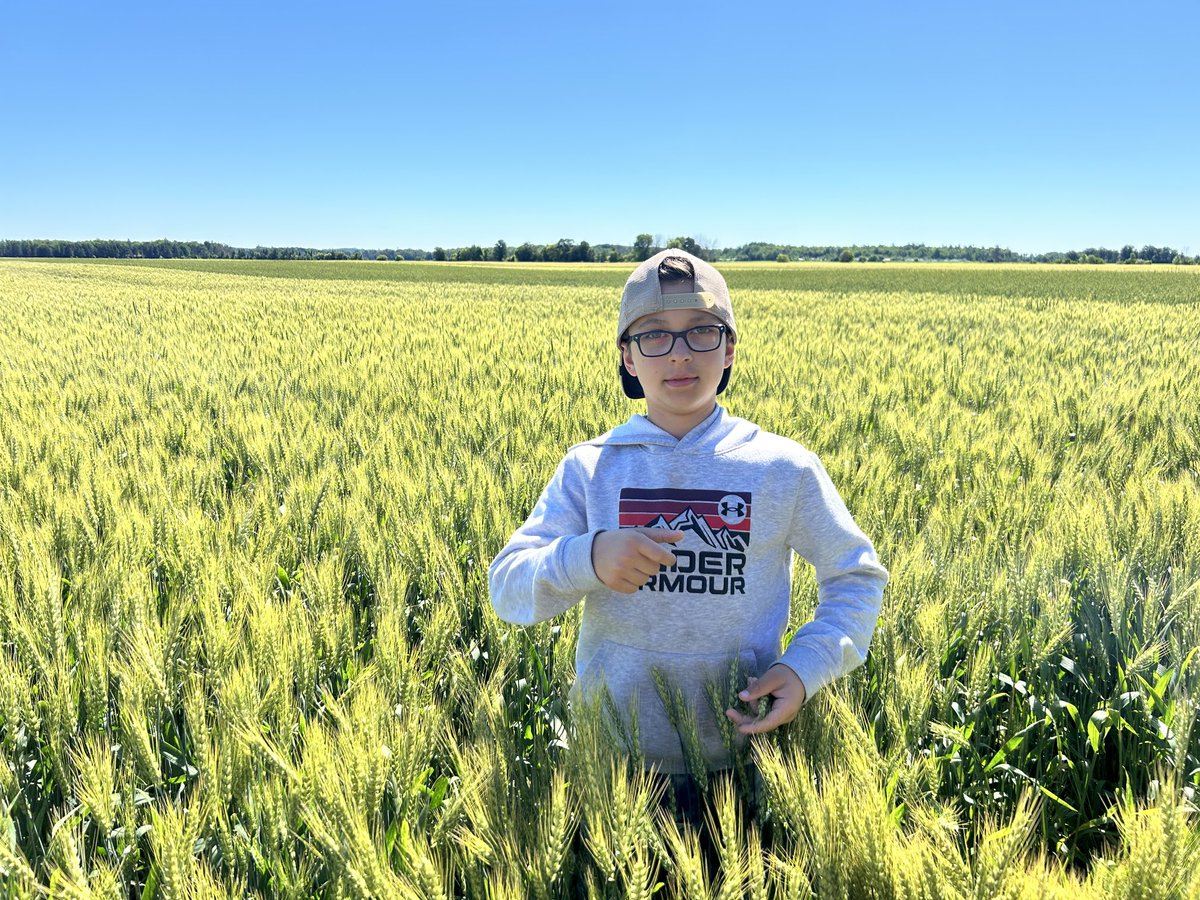 Phil Bailey tweet media