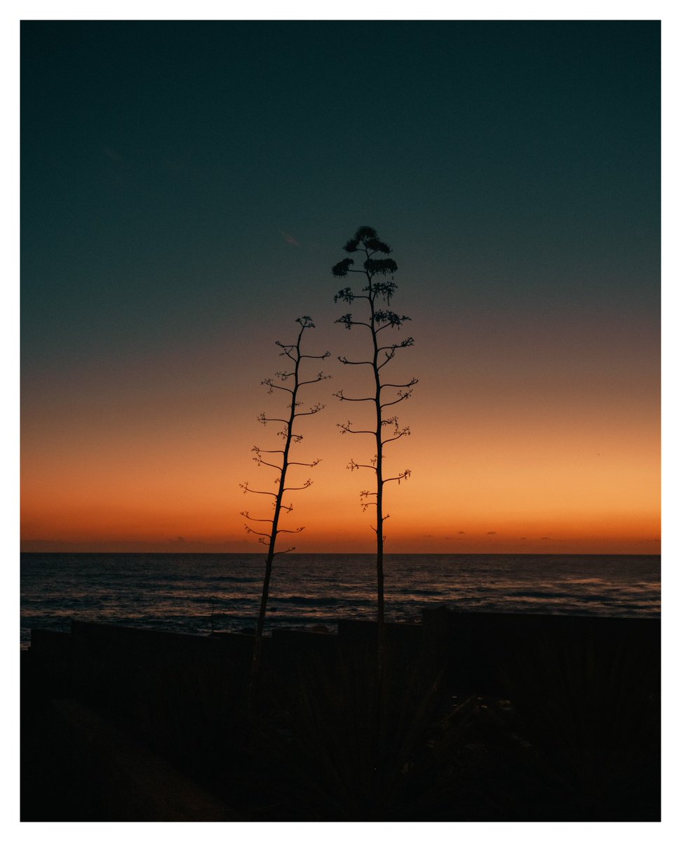 svsogarcia tweet media