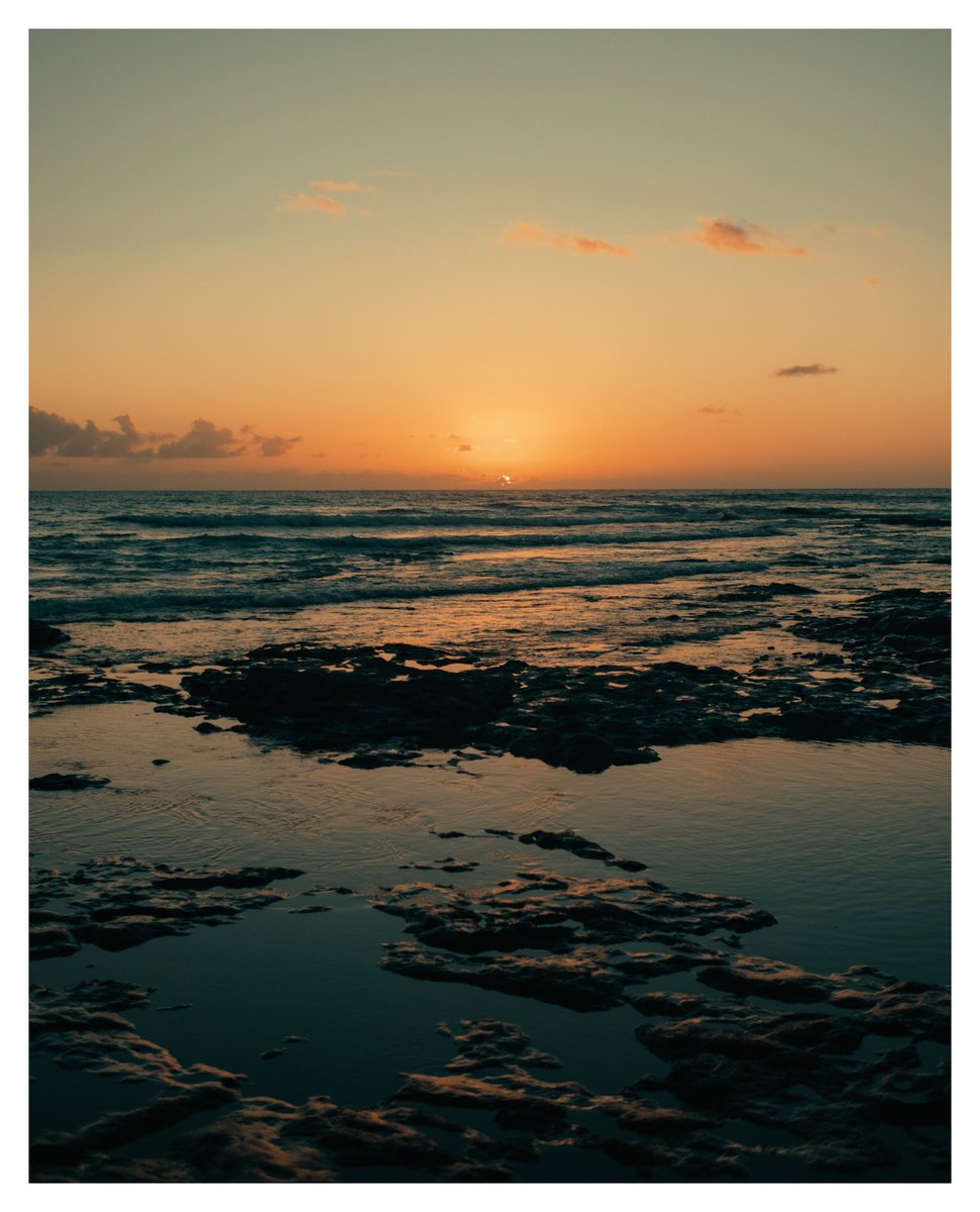 svsogarcia tweet media