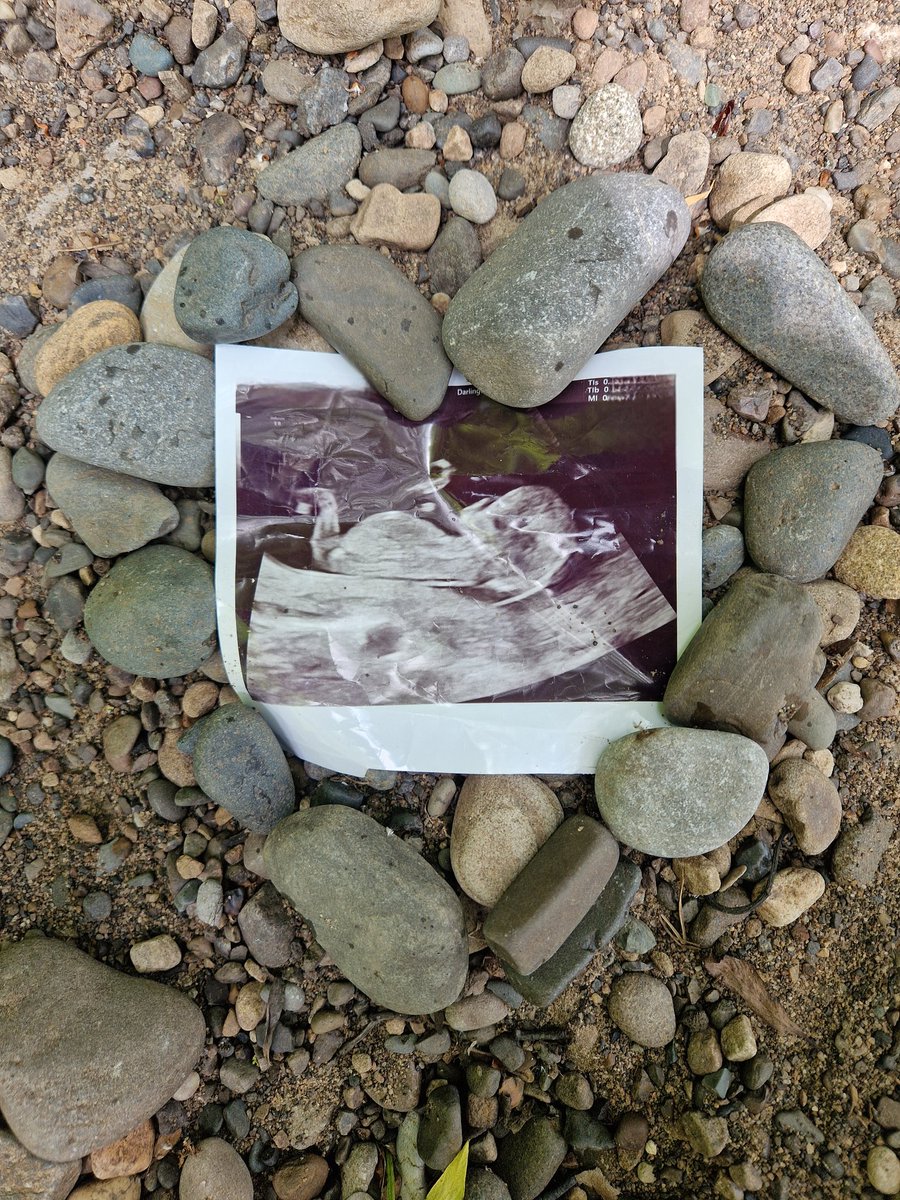 Our little team is expanding with Baby Knowles #2 due in December 💕

Time to put my feet up and become <a href="/DurhamCestria/">Durham Cestria</a>'s No.1 fan 💙