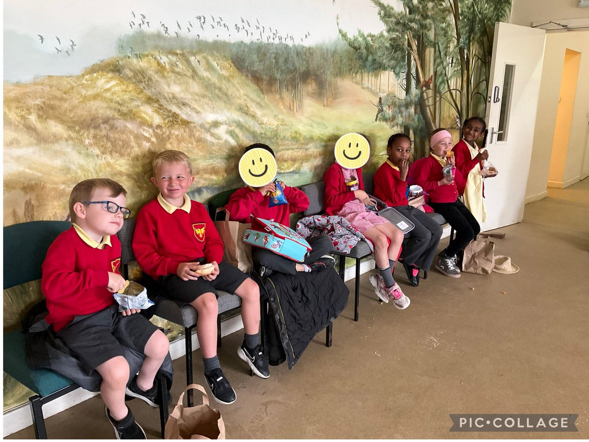 Year One Phoenix Primary tweet media